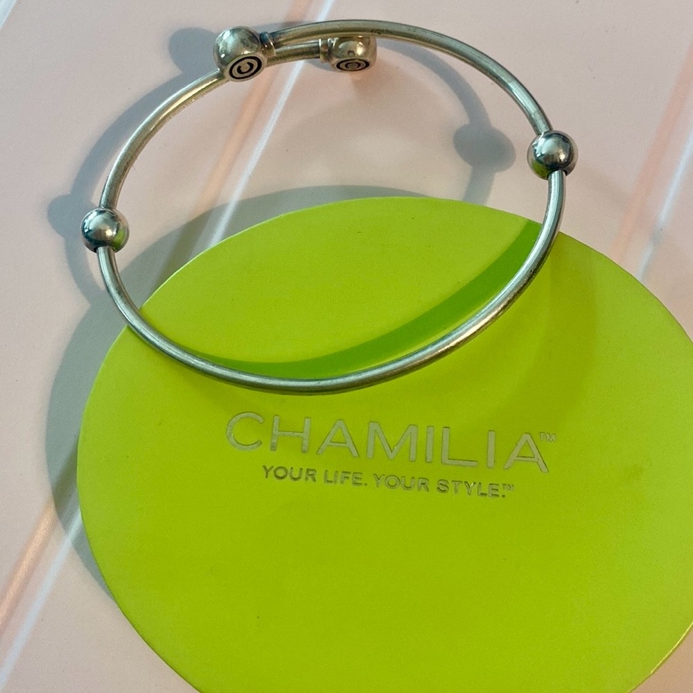 Chamilia Bangle ALE 925 charm holder.